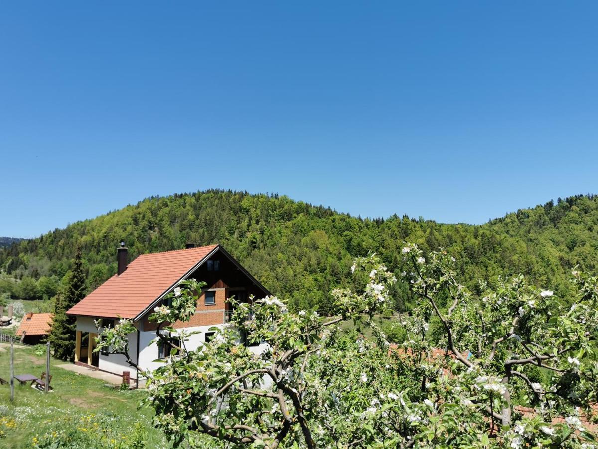 Planinski Mir Zaovine Exterior foto